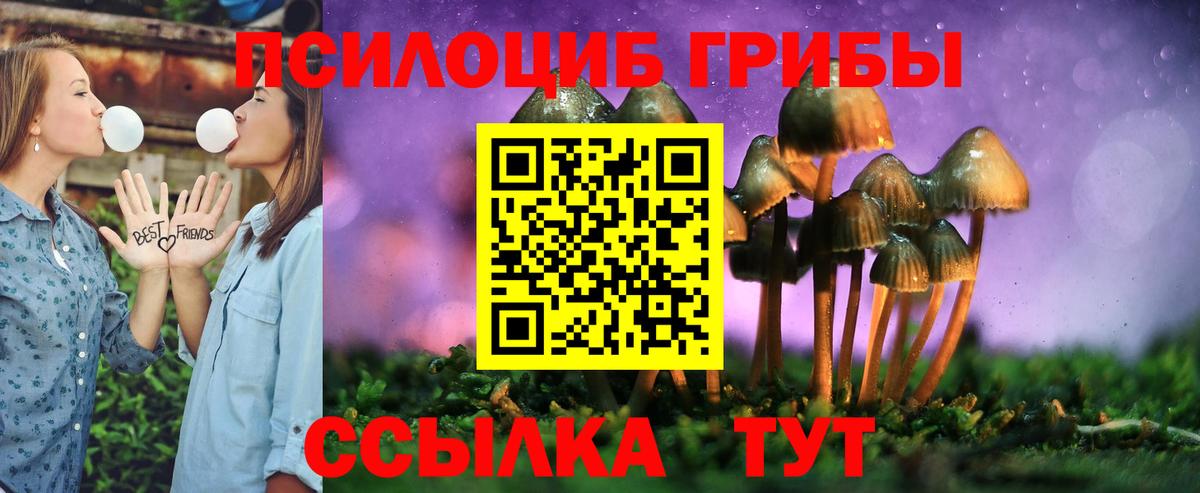 Псилоцибиновые грибы MAGIC MUSHROOMS  Вход с VPN  Алапаевск 